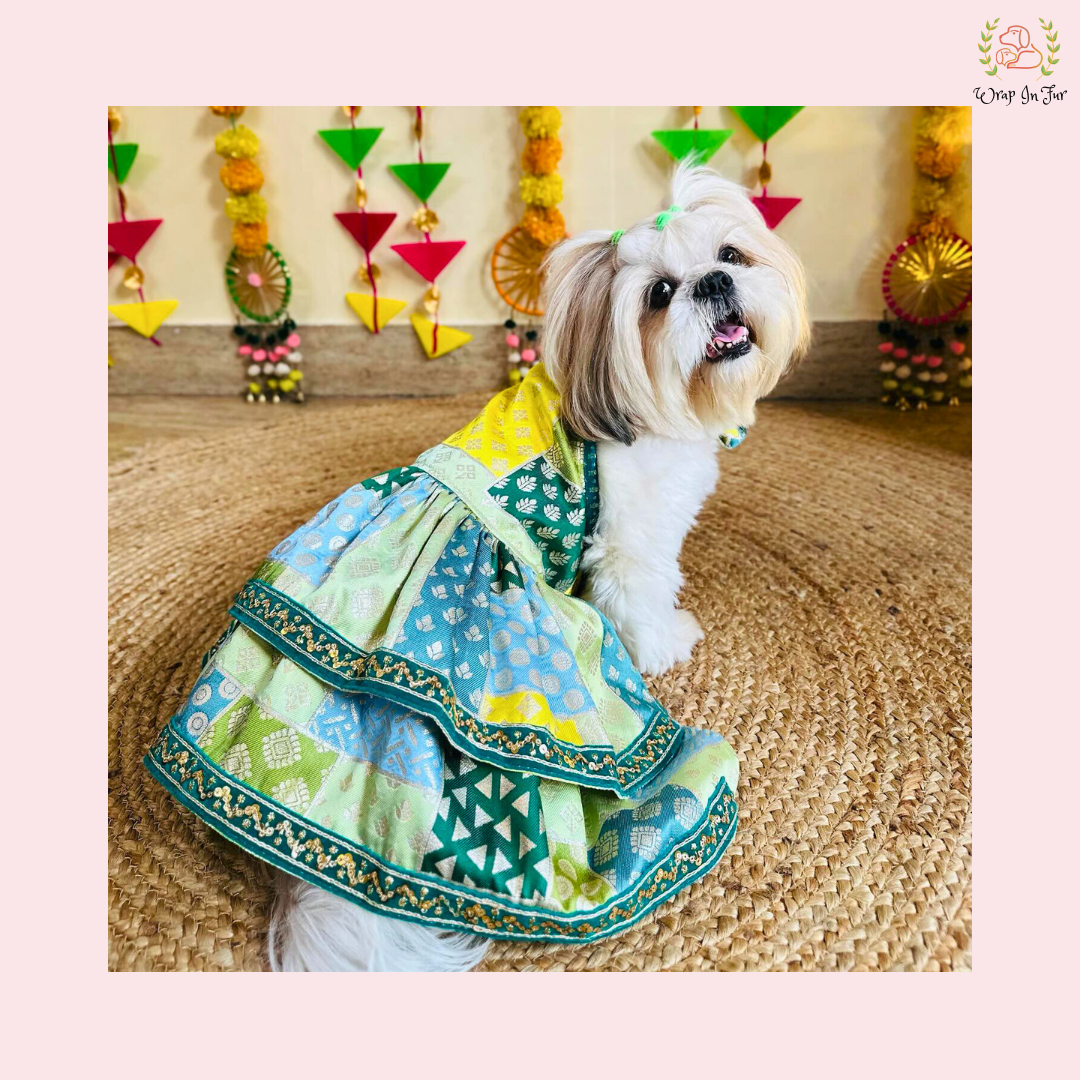 Luxury Green Flair Frock Dog Wedding Dress – Princess Bridal Outfit