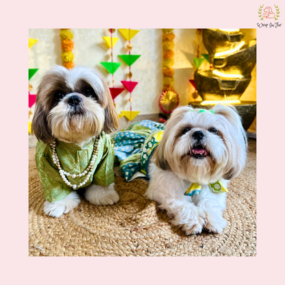 Luxury Green Flair Frock Dog Wedding Dress – Princess Bridal Outfit