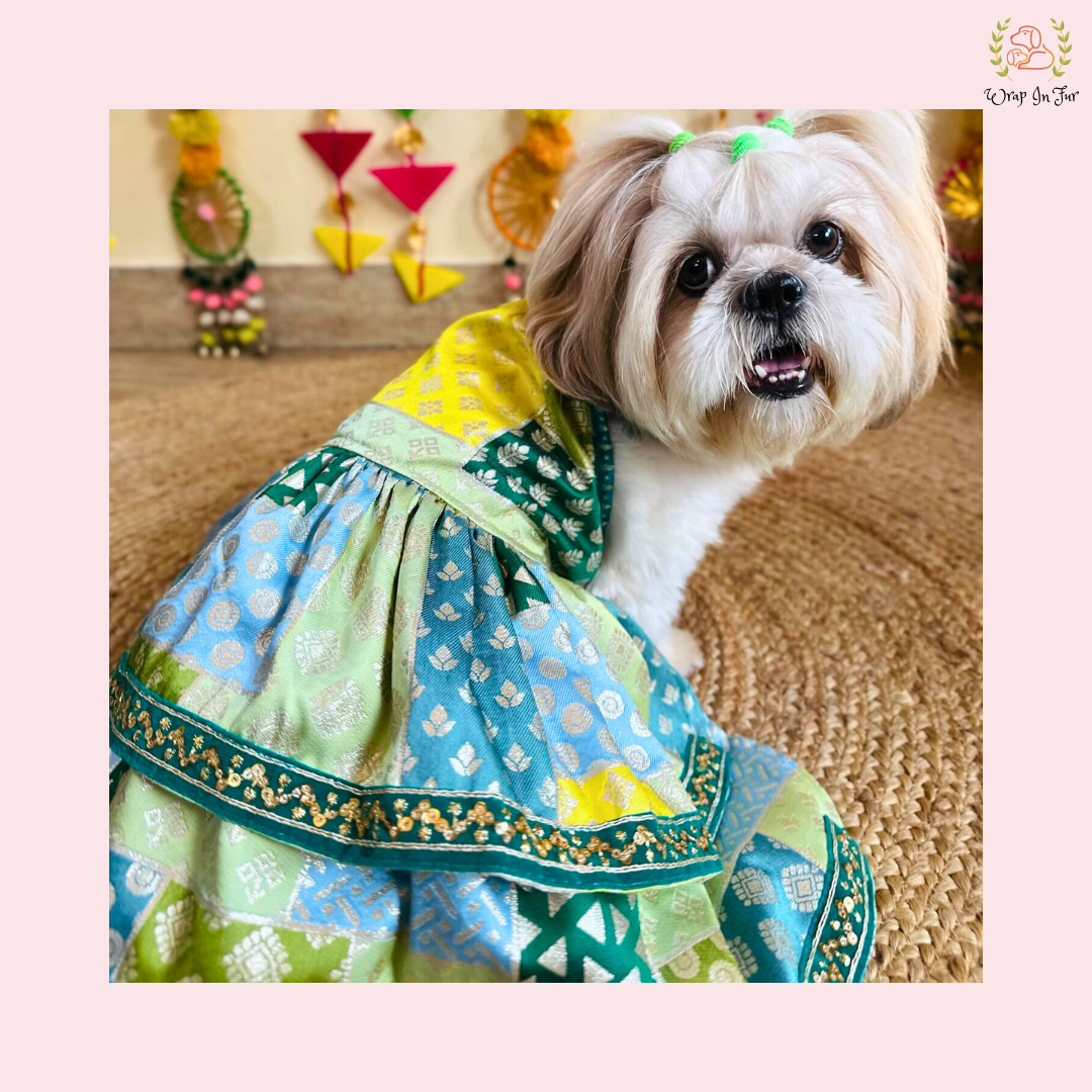 Luxury Green Flair Frock Dog Wedding Dress – Princess Bridal Outfit