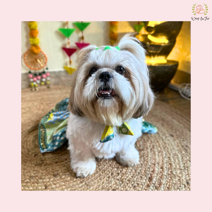 Luxury Green Flair Frock Dog Wedding Dress – Princess Bridal Outfit