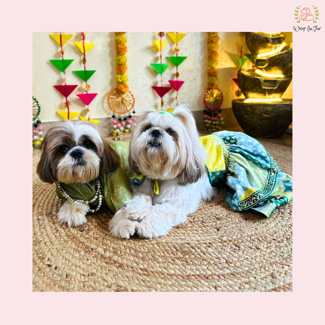 Luxury Green Flair Frock Dog Wedding Dress – Princess Bridal Outfit