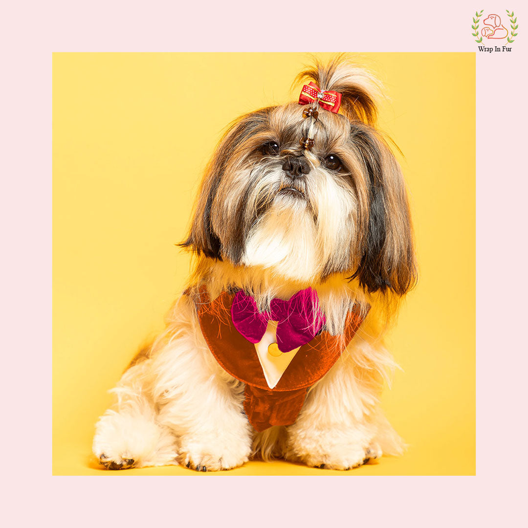 Luxury Orange Velvet Dog Tuxedo Vest - Festive Wedding Suit
