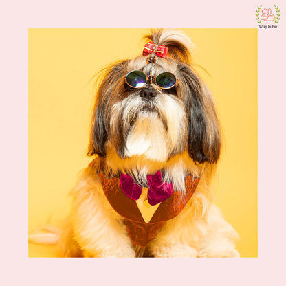 Luxury Orange Velvet Dog Tuxedo Vest - Festive Wedding Suit