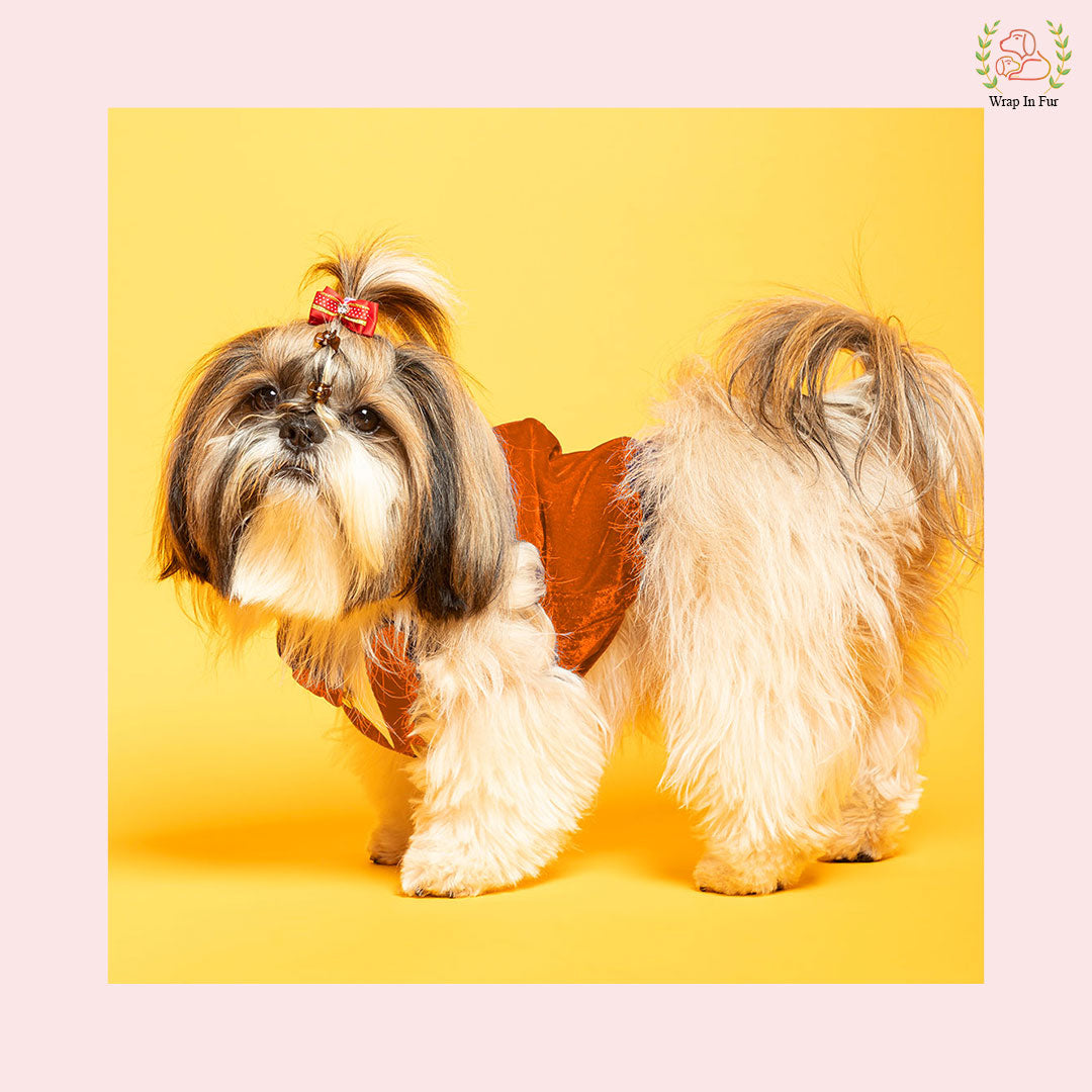 Luxury Orange Velvet Dog Tuxedo Vest - Festive Wedding Suit
