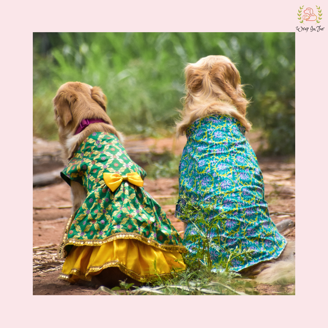 Luxury Patola Frock Dog Bridal Dress – Ethnic Wedding Wear for Dogs