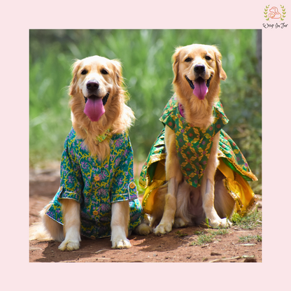Luxury Patola Frock Dog Bridal Dress – Ethnic Wedding Wear for Dogs