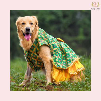 Luxury Patola Frock Dog Bridal Dress – Ethnic Wedding Wear for Dogs