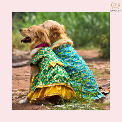 Luxury Patola Frock Dog Bridal Dress – Ethnic Wedding Wear for Dogs