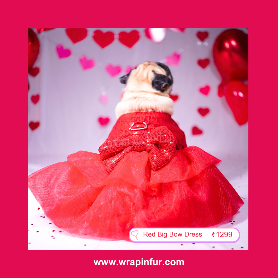 Luxury Red Tulle Dog Dress - Big Sequin Bow Wedding Outfit