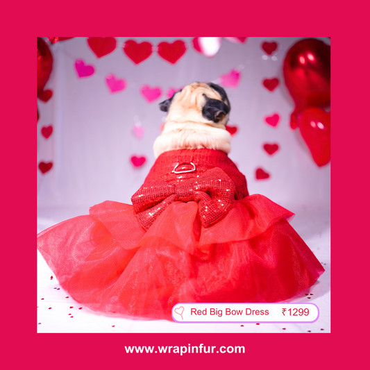 Luxury Red Tulle Dog Dress - Big Sequin Bow Wedding Outfit