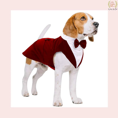 Luxury Red Velvet Dog Tuxedo Suit - Formal Wedding Cape