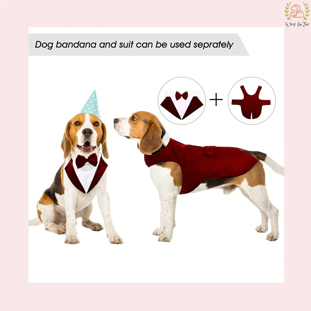Luxury Red Velvet Dog Tuxedo Suit - Formal Wedding Cape