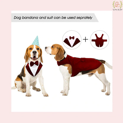 Luxury Red Velvet Dog Tuxedo Suit - Formal Wedding Cape