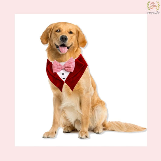 Luxury Red Velvet Tuxedo Style Dog Bandana - Formal Wedding Accessory