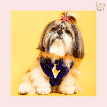 Luxury Royal Blue Velvet Dog Tuxedo Vest - Formal Wedding Suit