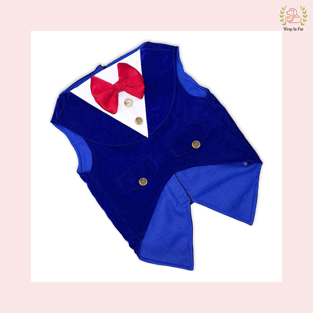 Luxury Royal Blue Velvet Dog Tuxedo Vest - Formal Wedding Suit