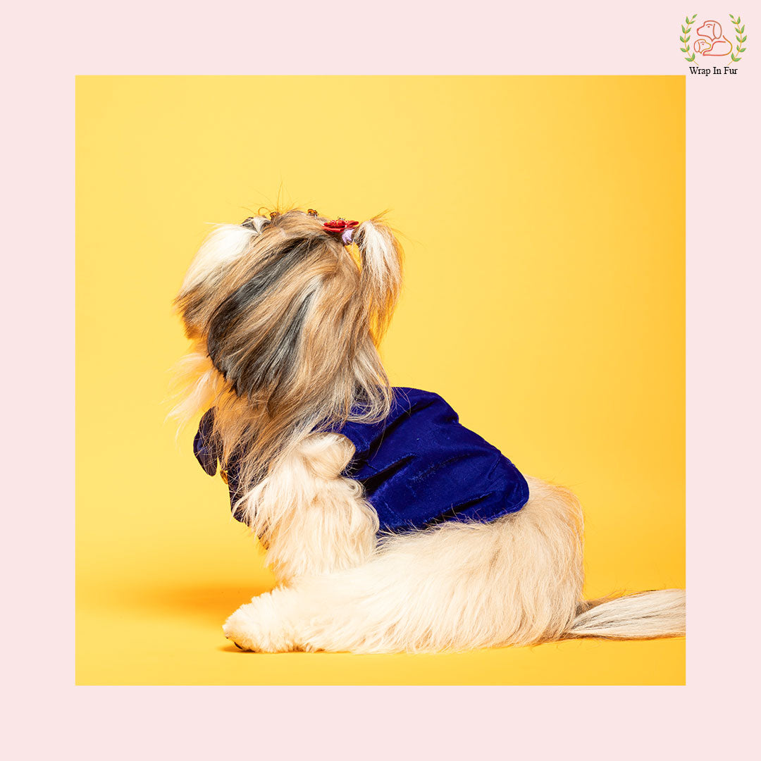 Luxury Royal Blue Velvet Dog Tuxedo Vest - Formal Wedding Suit