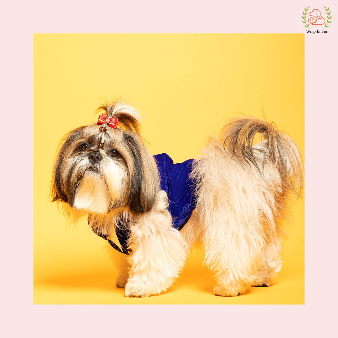 Luxury Royal Blue Velvet Dog Tuxedo Vest - Formal Wedding Suit