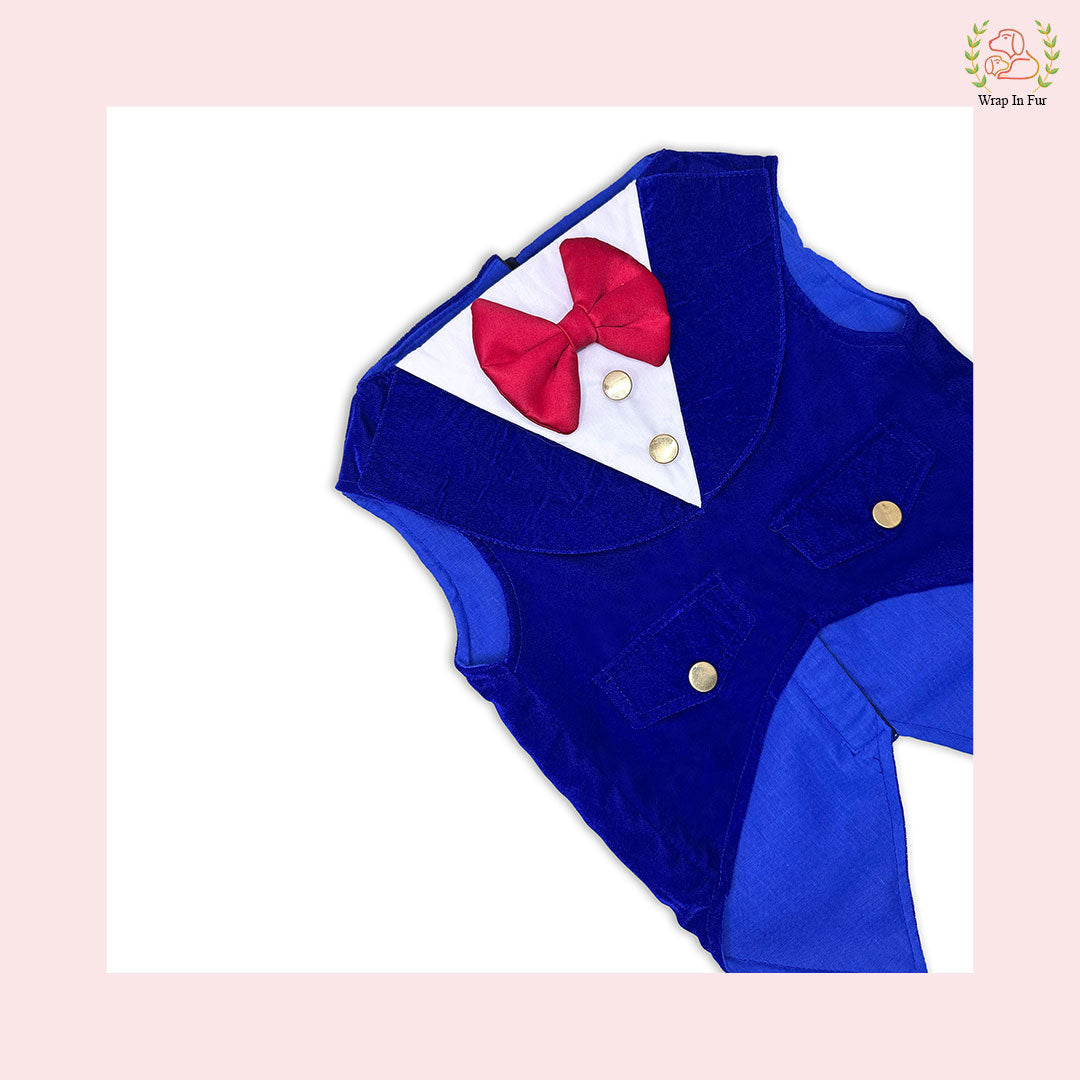 Luxury Royal Blue Velvet Dog Tuxedo Vest - Formal Wedding Suit