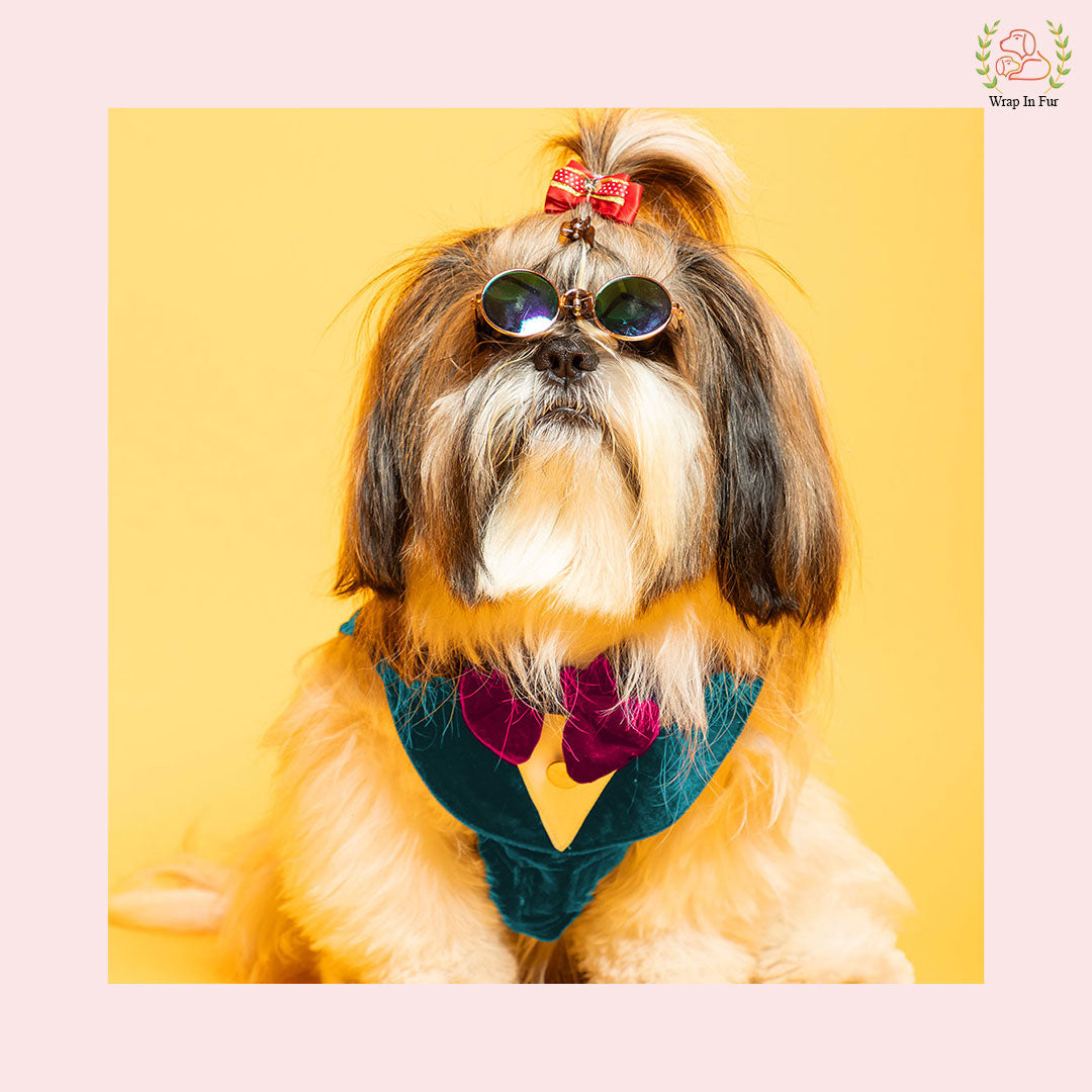 Luxury Teal Velvet Dog Tuxedo Vest - Formal Wedding Suit