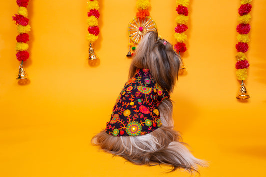 Blue Phoolwari Dog Sherwani