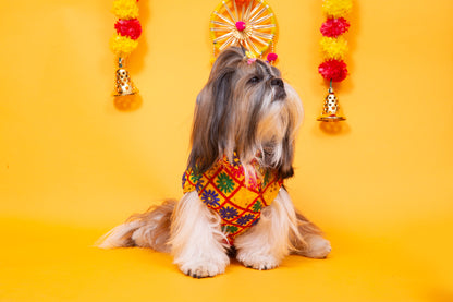 Yellow Jhilmil Dog Jacket