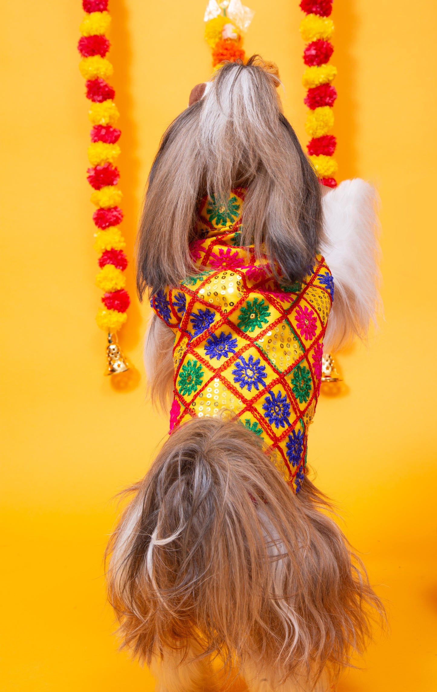 Yellow Jhilmil Dog Jacket