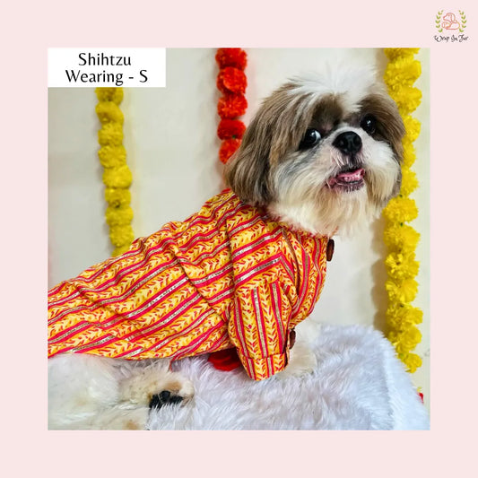 Marigold Striped Dog Kurta Shirt - Traditional Indian Dog Ethnic Wear