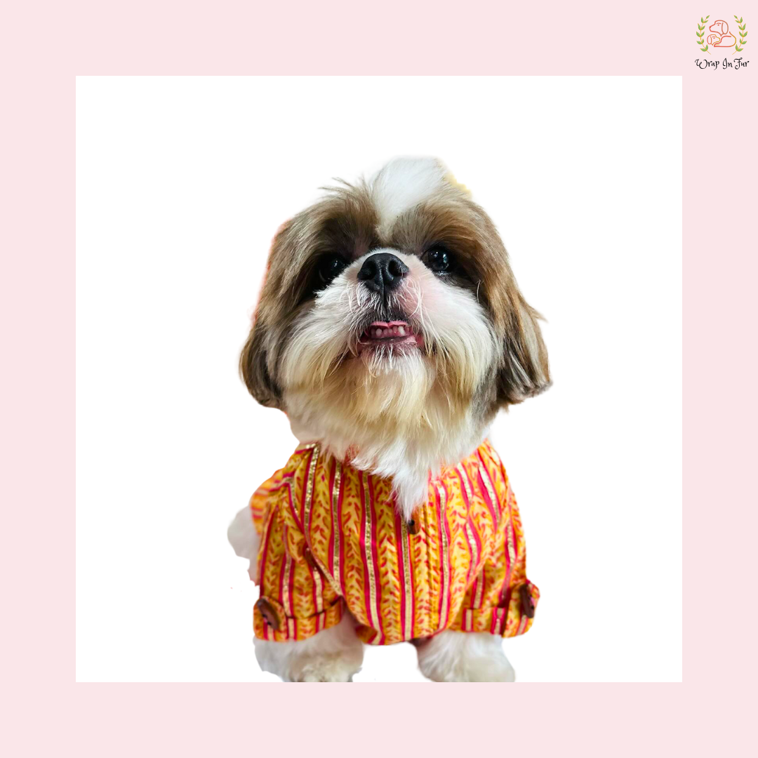 Marigold Striped Dog Kurta Shirt - Traditional Indian Dog Ethnic Wear