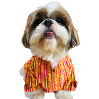 Marigold Striped Dog Kurta Shirt - Traditional Indian Dog Ethnic Wear