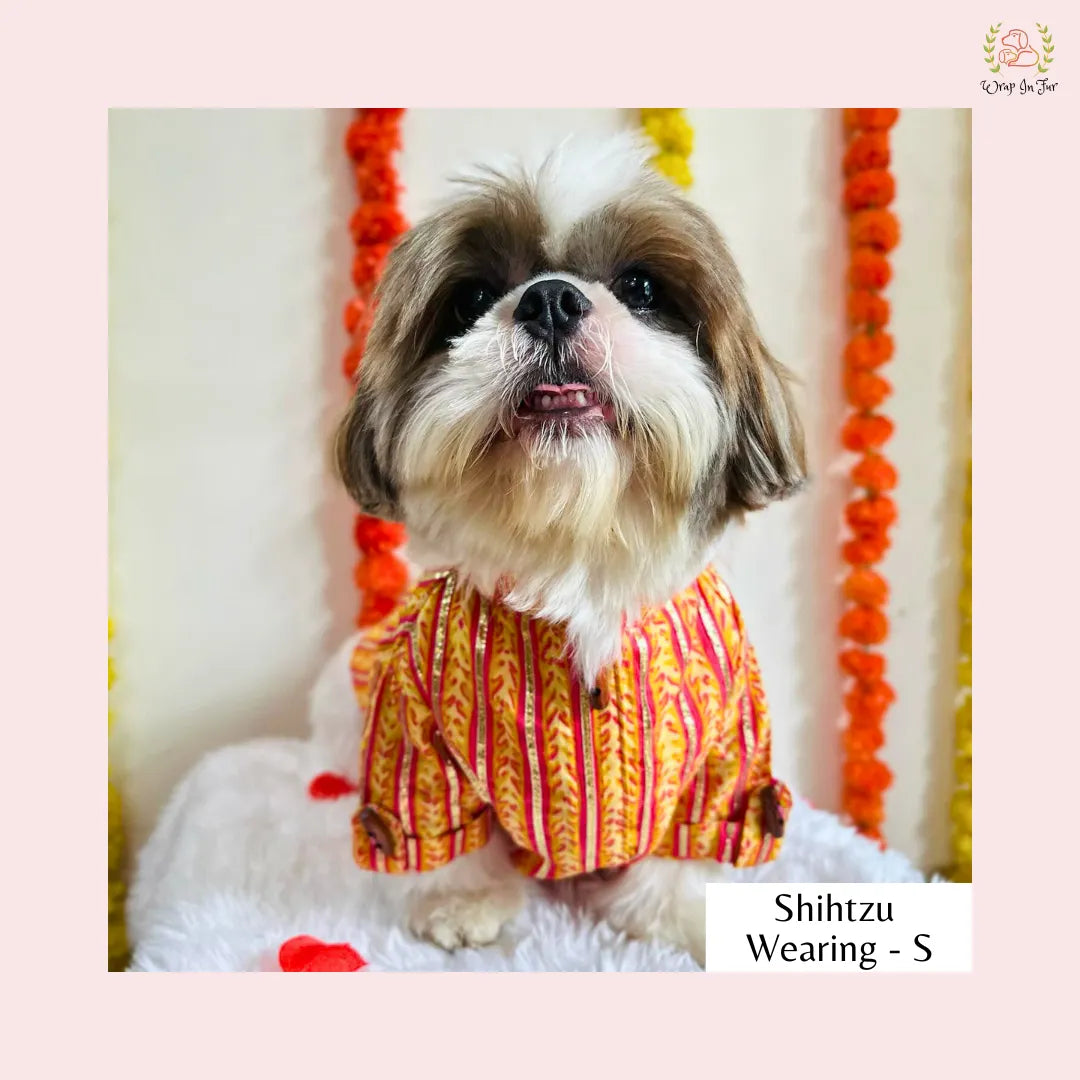 Marigold Striped Dog Kurta Shirt - Traditional Indian Dog Ethnic Wear