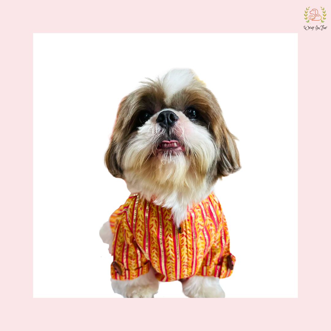 Marigold Gota Dog Kurta