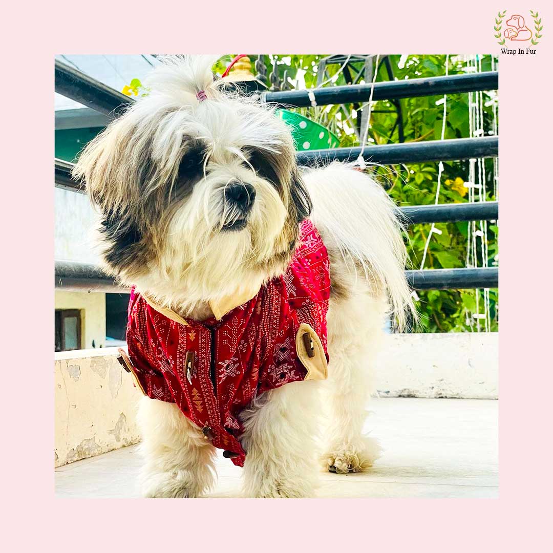 Maroon Ikaat Dog kurta