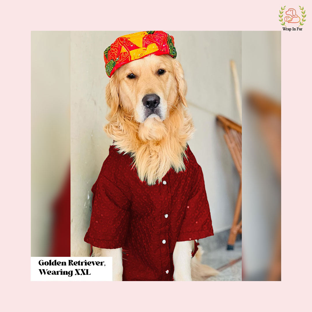 Maroon Chikankari Dog Kurta - Premium Embroidered Indian Dog Ethnic Wear