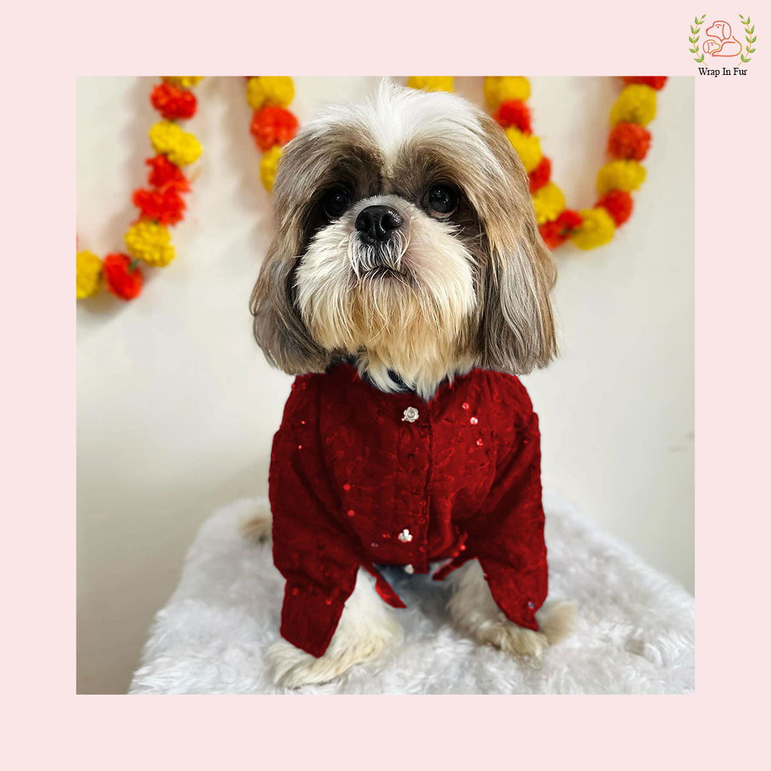 Maroon Chikankari Dog Kurta - Premium Embroidered Indian Dog Ethnic Wear