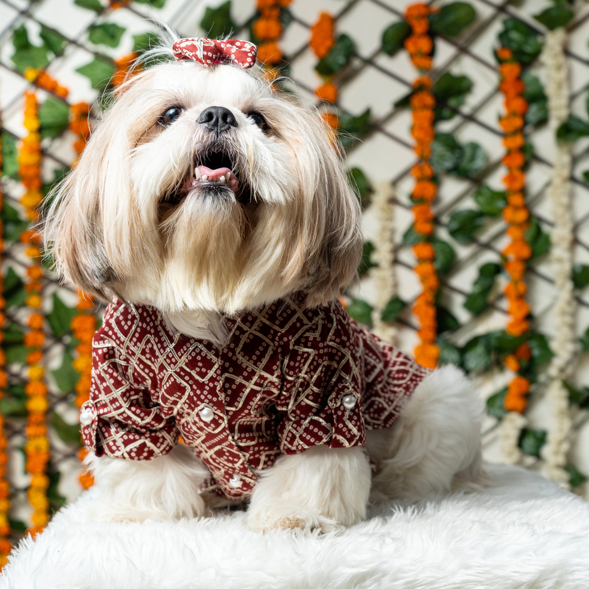 Maroon Pearl & Gota Patti Dog Kurta - Royal Indian Dog Ethnic Wear