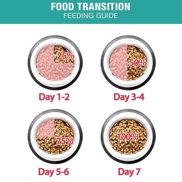 Me-O Persian Dry Kitten Food – Complete & Balanced Nutrition for  Healthy Growth