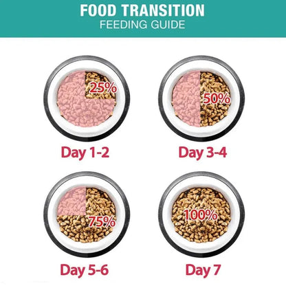 Me-O Persian Dry Kitten Food – Complete & Balanced Nutrition for  Healthy Growth