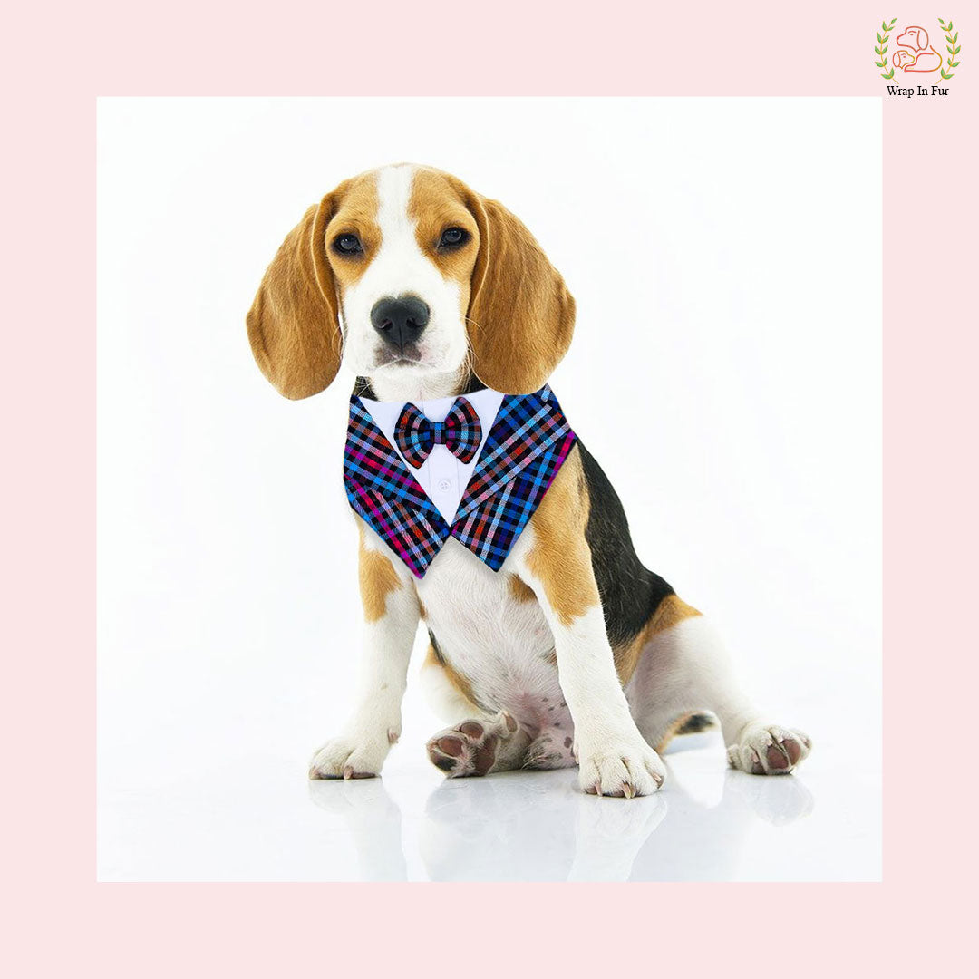 Shop Customized Beagle dog Tuxedo Bandana