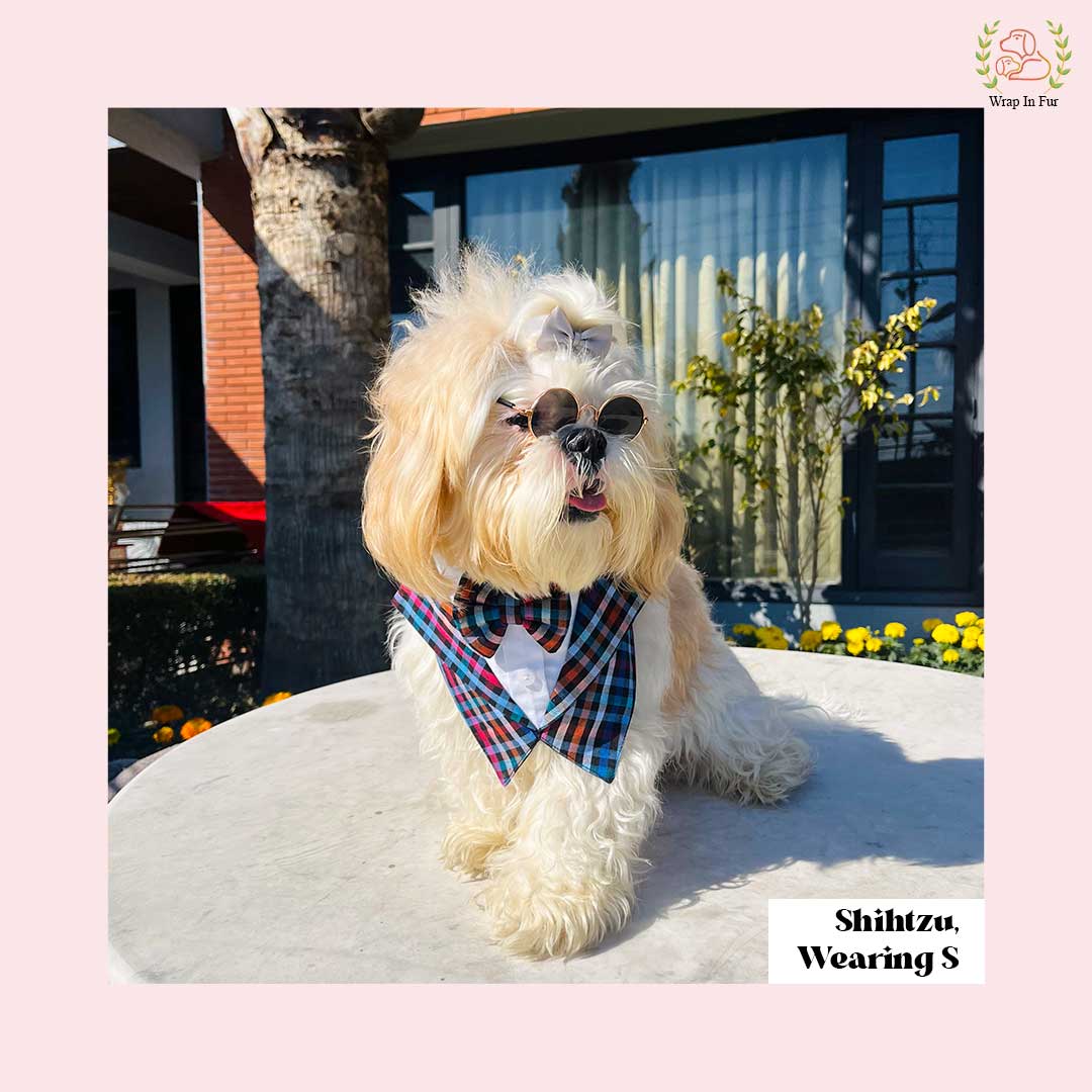 buy over the collar dog tuxedo bandana