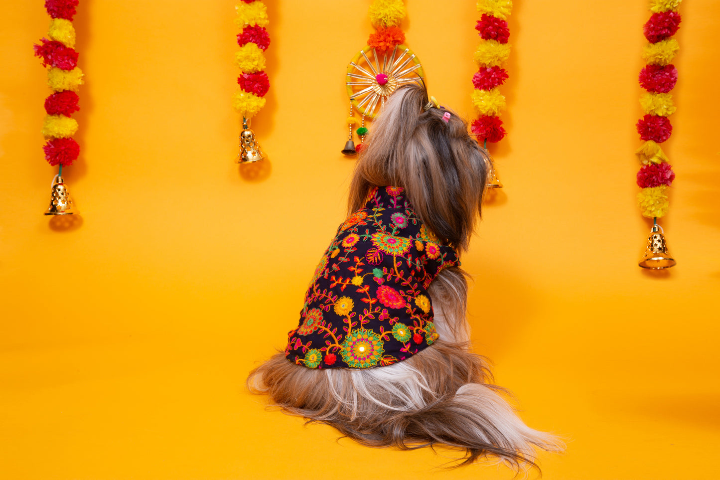 Midnight Blue Phoolwari Dog Sherwani - Royal Dog Wedding Outfit