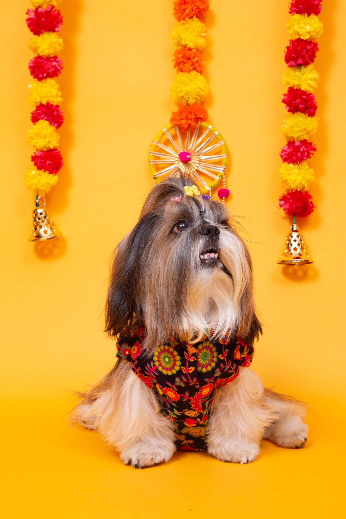 Midnight Blue Phoolwari Dog Sherwani - Royal Dog Wedding Outfit