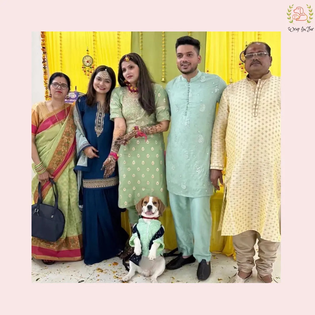 Mint Green dog Kurta with Dupatta for shaadi