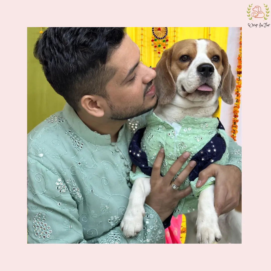 Wedding Mint Green dog Kurta with Dupatta