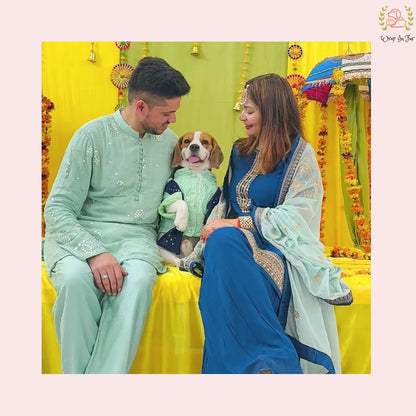 Shop Mint Green dog Kurta with Dupatta for wedding function