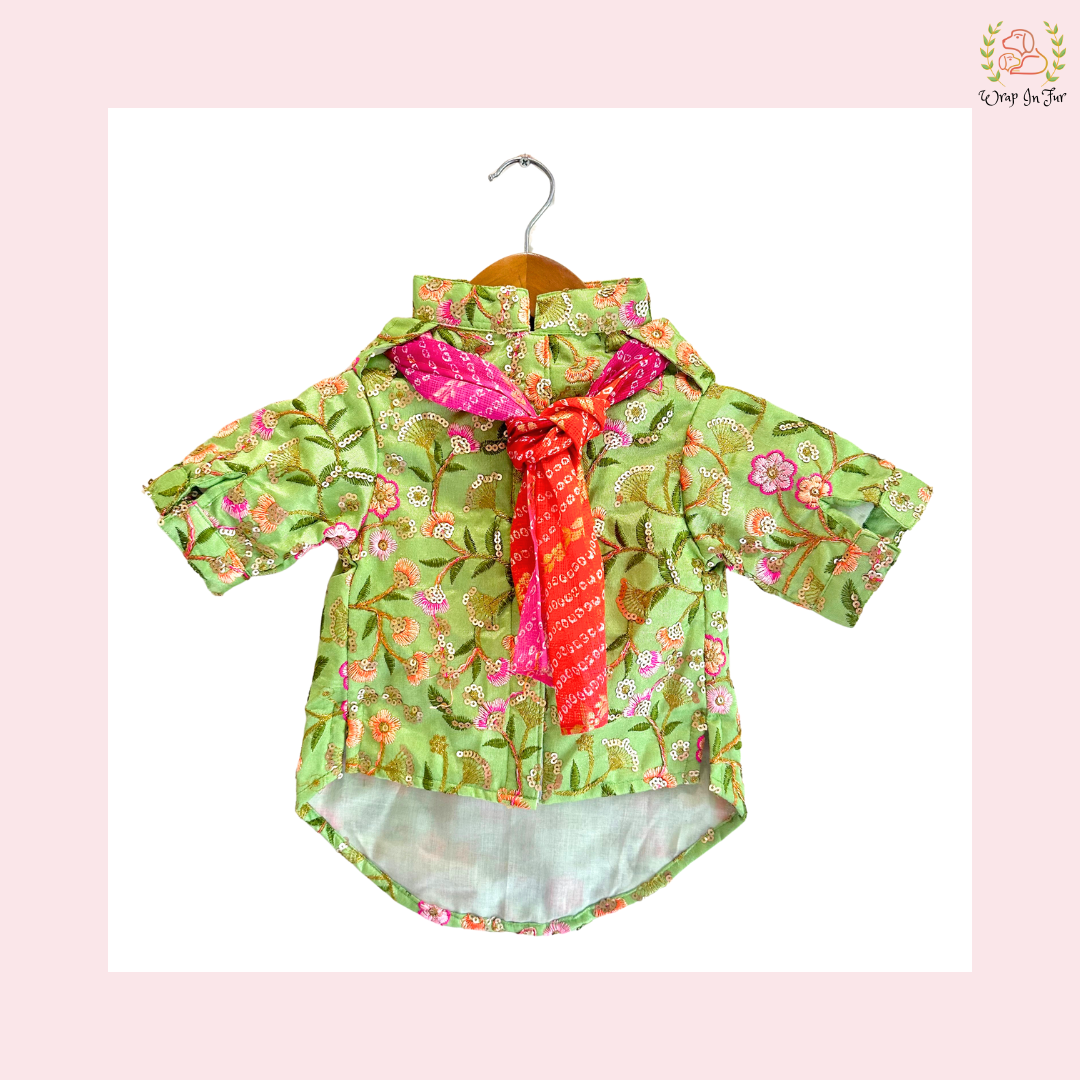 Mint Green Floral Dog Kurta Dress with Dupatta - Indian Dog Ethnic Wear