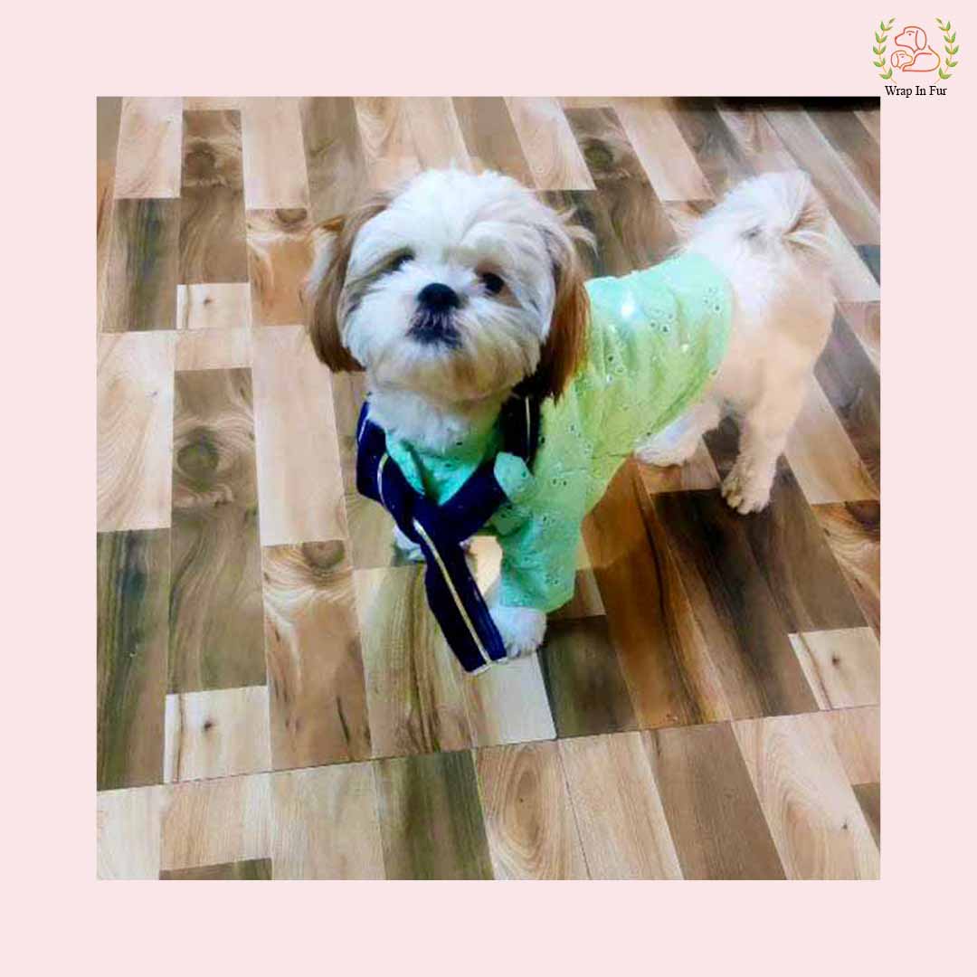 Mint Green Mirror Work Dog Kurta with Navy Dupatta - Indian Dog Ethnic Wear