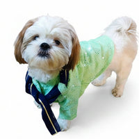 Mint Green Mirror Work Dog Kurta with Navy Dupatta - Indian Dog Ethnic Wear