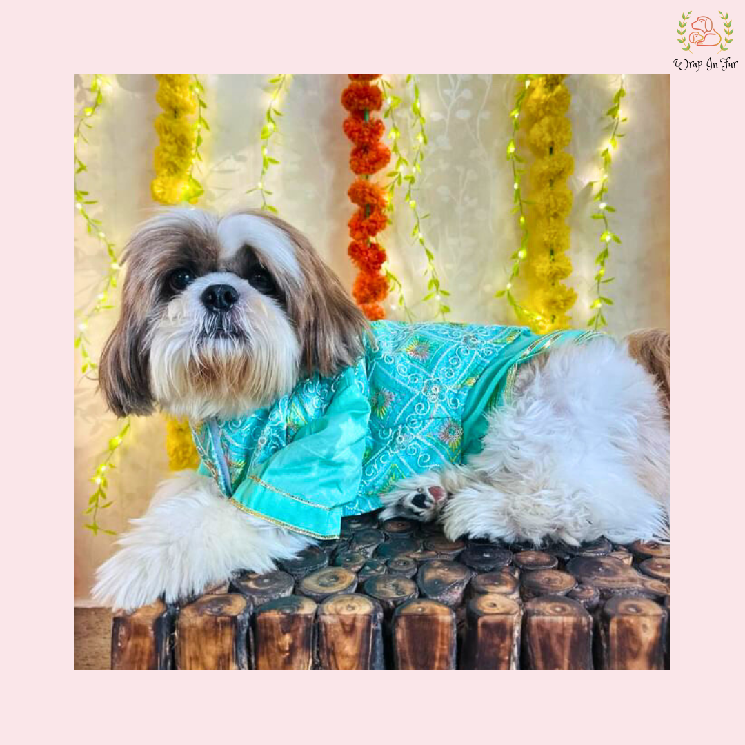 Mint Green Resham Gota Dog Kurta Jacket Set - Indian Dog Ethnic Wear Dress