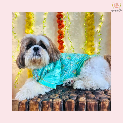 Mint Green Resham Gota Dog Kurta Jacket Set - Indian Dog Ethnic Wear Dress